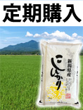 上越コシヒカリ定期