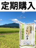 こしいぶき定期