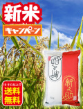 新之助新米