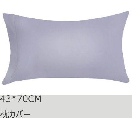 R.T. Home - 高級エジプト超長綿(エジプト綿)ホテル品質枕カバー 43×70CM 封筒式 500スレッドカウント サテン織り シルバー グレー43*70CM
