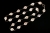 パールポテト5