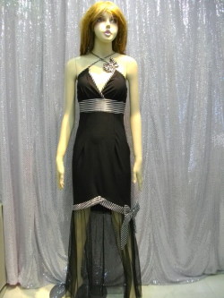 シースルードレス商品番号００２８