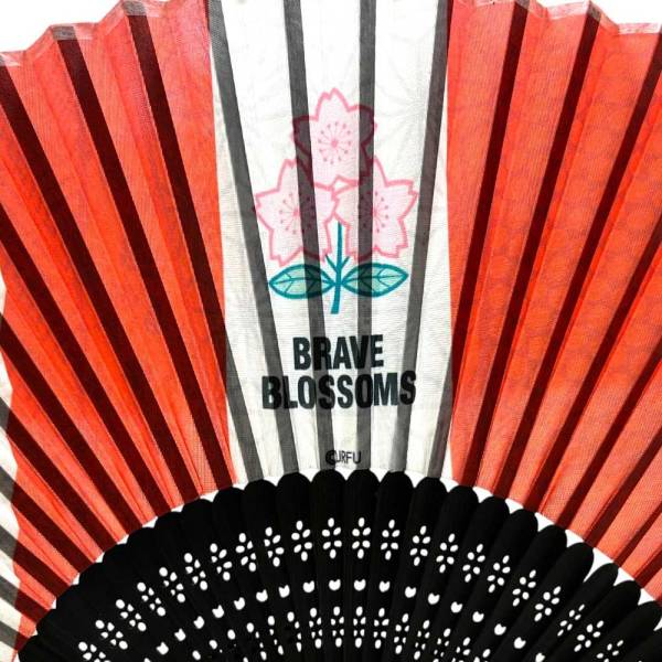 Lサイズ2枚セット　ラグビー日本代表　brave blossom カンタベリー Lサイズ2枚セット ラグビー日本代表 brave blossom カンタベリー