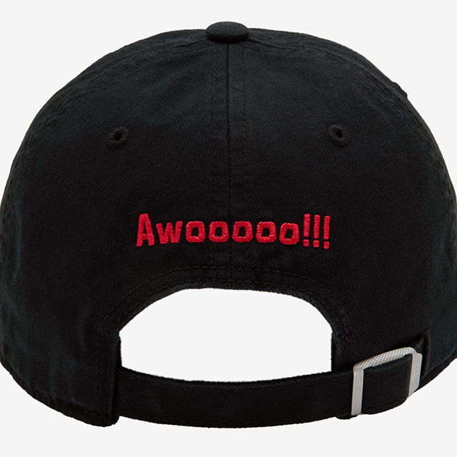 東芝ブレイブルーパス東京 スタンダードウォッシュドキャップ