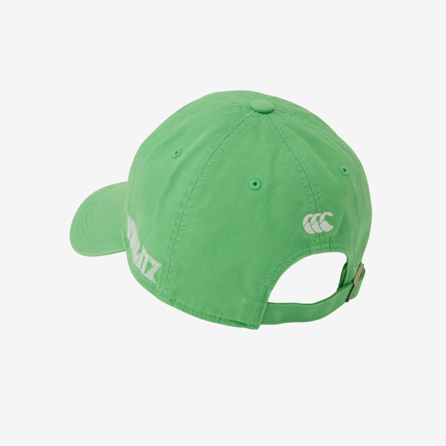 トヨタヴェルブリッツ スタンダードウォッシュドキャップ