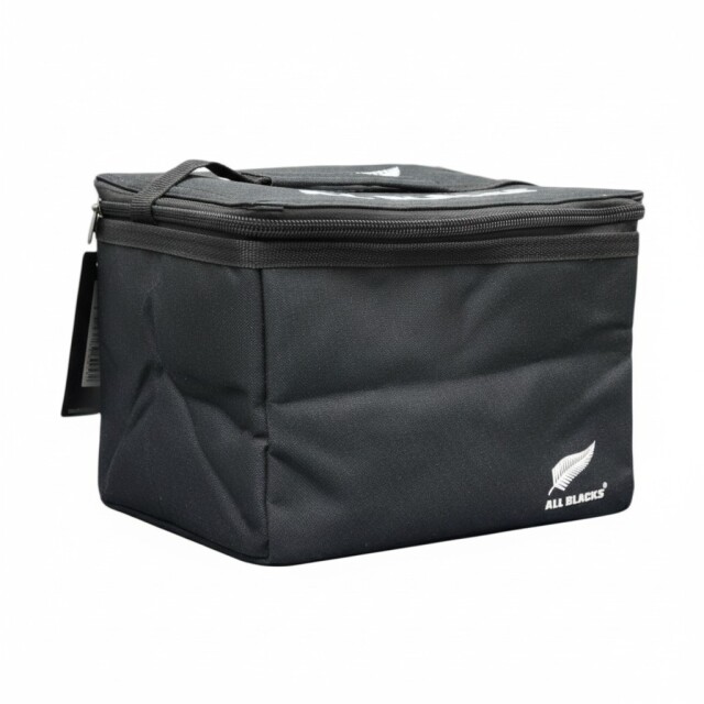 【おまけ付き】ユッカ リギダ　ナイスサイズ おまけ付き】ユッカ リギダ ナイスサイズ