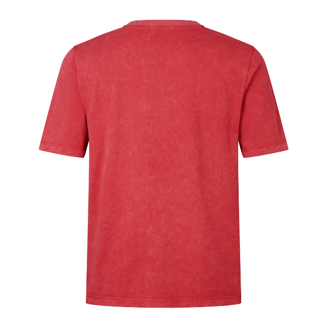 British & Irish Lions 2025 Heritage Tシャツ レッド
