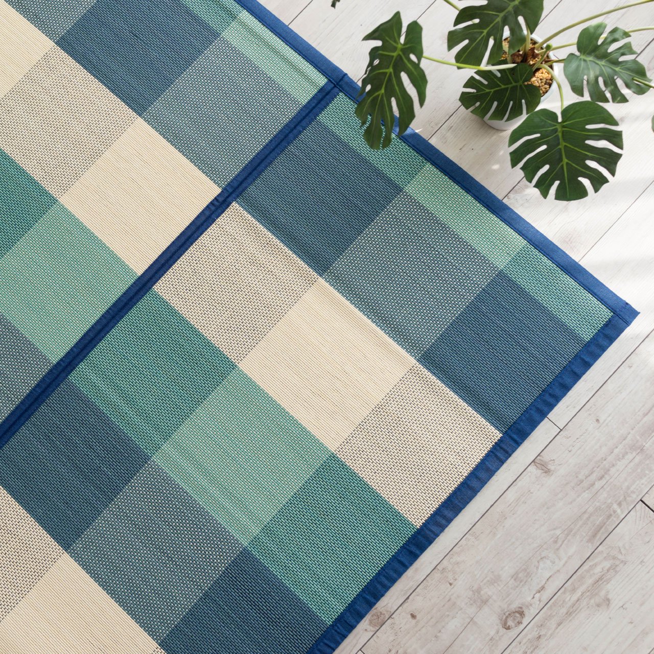 竹ラグ（竹芽）