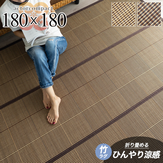 あきバナナさま専用　トラ型ラグ Bristol 約100cm x 50cm テトラ おさかな飼育 静かなセット PL-17SF（4571269555656