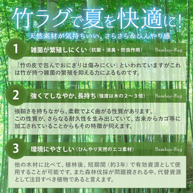 竹ラグ（竹芽）