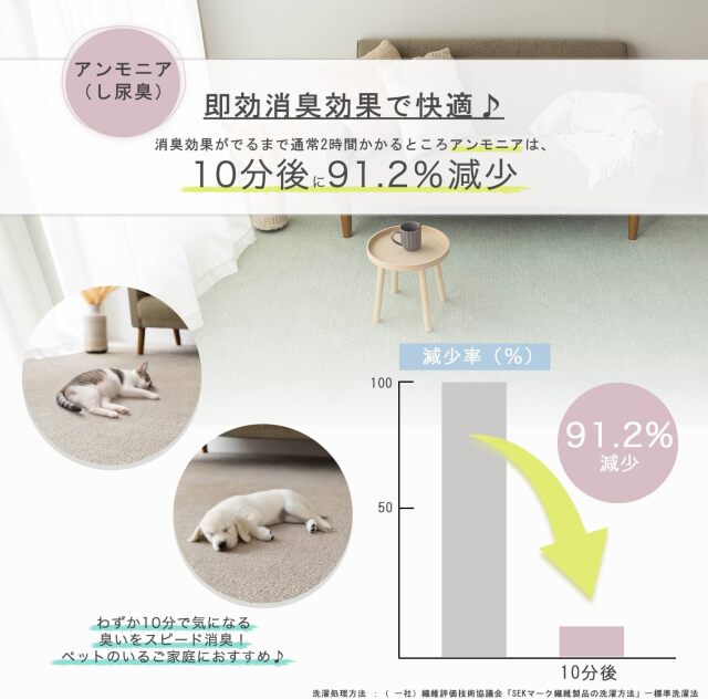 優しい雰囲気で日常使いしやすい国産カーペット 約 261x261 cm｜輸入