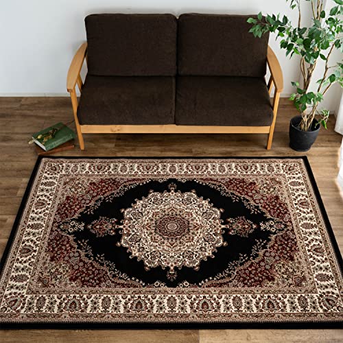 225万ノット！超高密度織 本場イラン産 絨毯！ 200×250cm‐3001