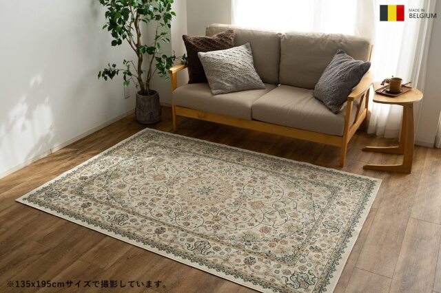 ロイヤルパレス14650