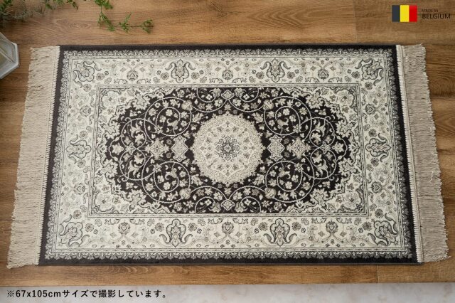 ロイヤルパレス14650