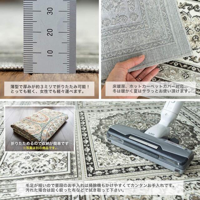 ロイヤルパレス14651
