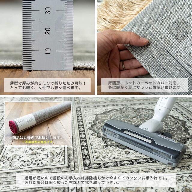 ロイヤルパレス14651