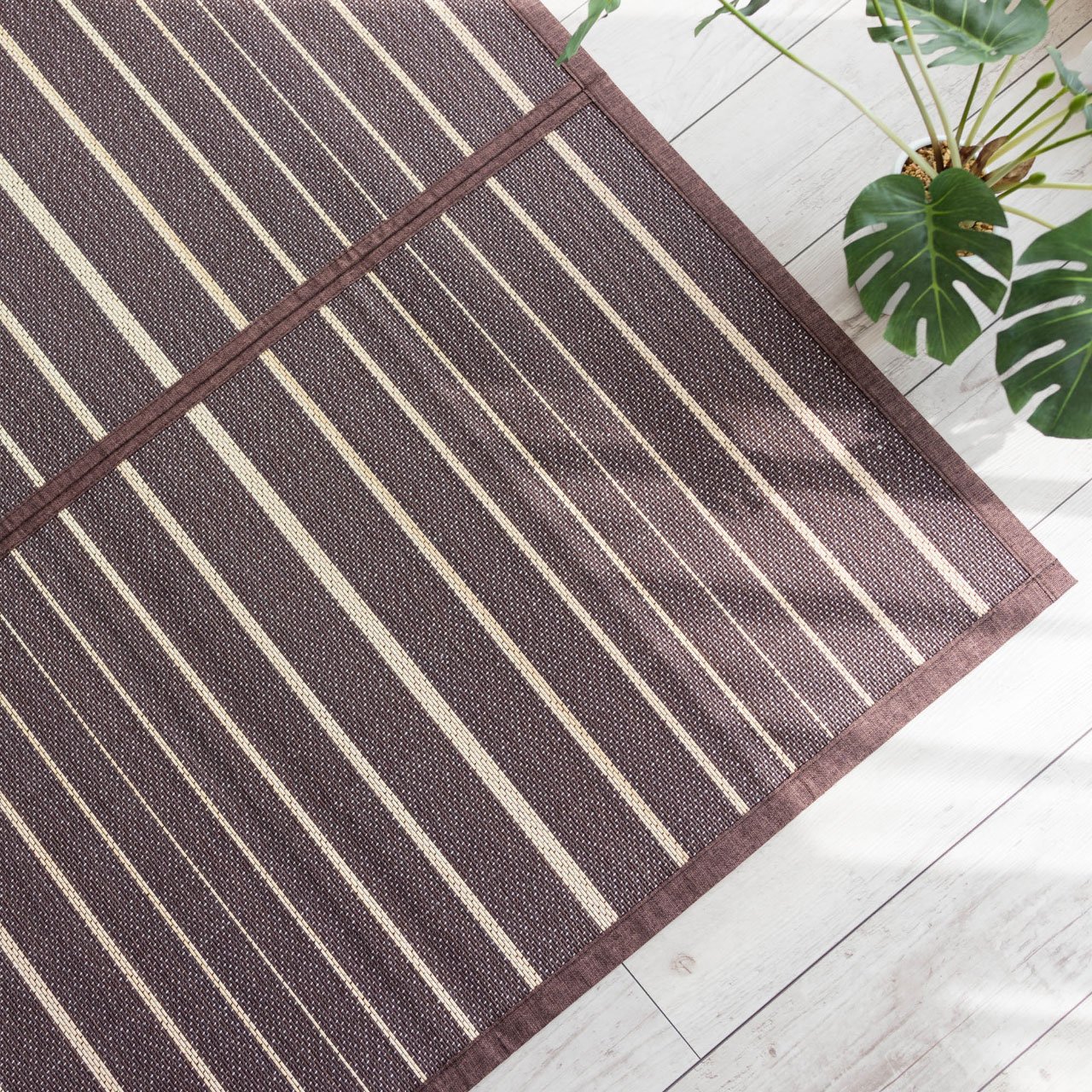 竹ラグ（竹芽）