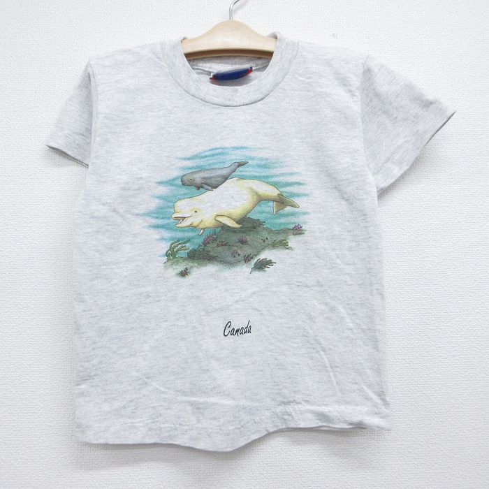 古着 半袖 ビンテージ Tシャツ キッズ ボーイズ 子供服 90年代 90s イルカ クルーネック グレー 霜降り 26jun11