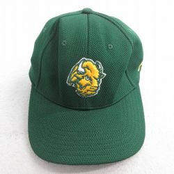 中古 キャップ バイソンズ 刺繍 緑 グリーン 25aug02