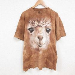 XL★古着 半袖 Tシャツ メンズ ヒツジ 大きいサイズ コットン クルーネック 薄茶 ブラウン タイダイ 25jul09 中古