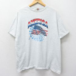 フルーツオブザルーム 00s 半袖Tシャツ 星条旗 グレー XL | 古着