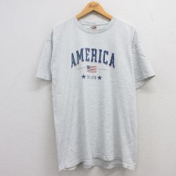 フルーツオブザルーム 00s 半袖Tシャツ 星条旗 グレー XL | 古着