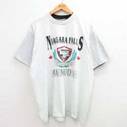 00s 半袖Tシャツ ナイアガラの滝 グレー XL | 古着