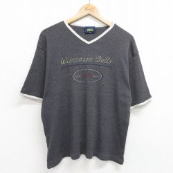 90s 半袖Tシャツ ウィスコンシンデルズ グレー XL | 古着