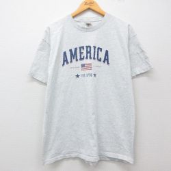 フルーツオブザルーム 00s 半袖Tシャツ 星条旗 グレー XL | 古着