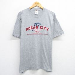 【50%OFF】フルーツオブザルーム 00s 半袖Tシャツ イルカ グレー XL | 古着