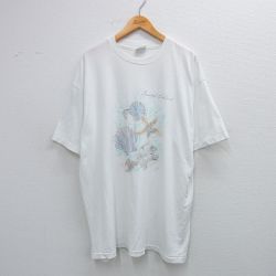 【50%OFF】ヘインズ 80s 半袖Tシャツ 貝がら ホワイト XL | 古着