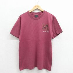 90s 半袖Tシャツ Tortolaボーダー パープル メンズL相当 | 古着