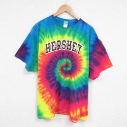 XL★古着 半袖 ビンテージ Tシャツ メンズ 00年代 00s HERSHEY 大きいサイズ コットン クルーネック 黄他 イエロー タイダイ 25jun13 中古