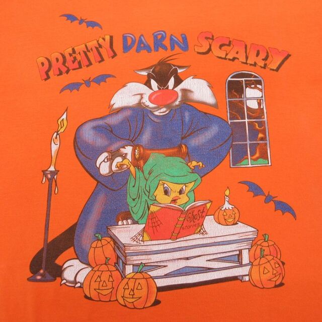 古着通販 古着 半袖 Tシャツ レディース 90年代 90s ルーニー