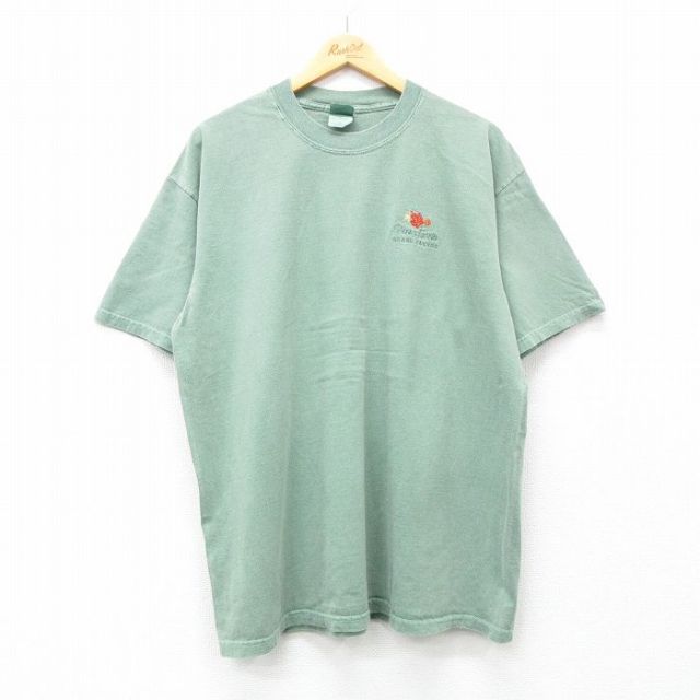 90s 半袖Tシャツ ペンシルベニア グランドキャニオン グリーン XL | 古着