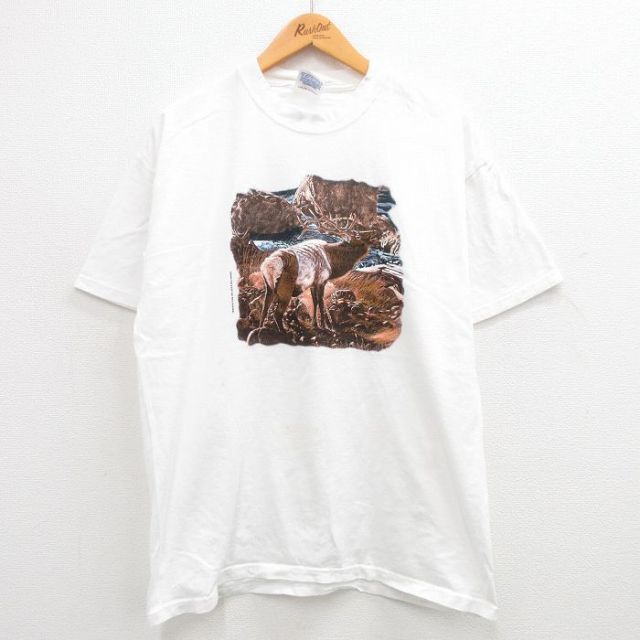 ヘインズ 00s 半袖Tシャツ シカ ホワイト XL | 古着