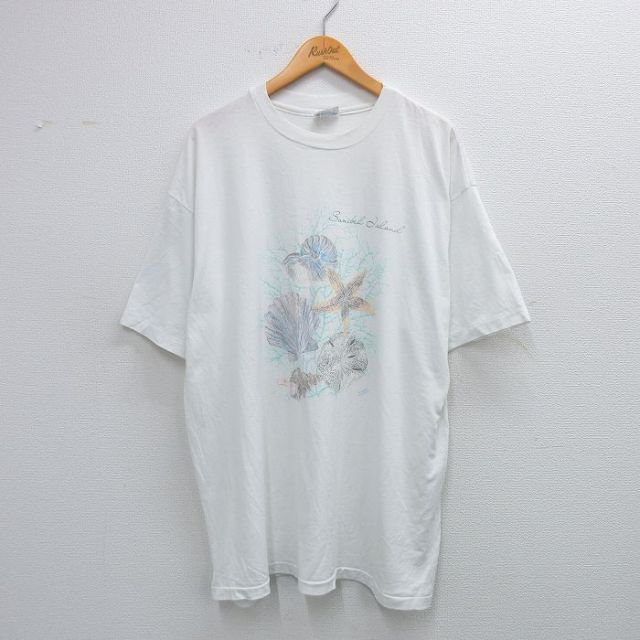 ヘインズ 80s 半袖Tシャツ 貝がら ホワイト XL | 古着