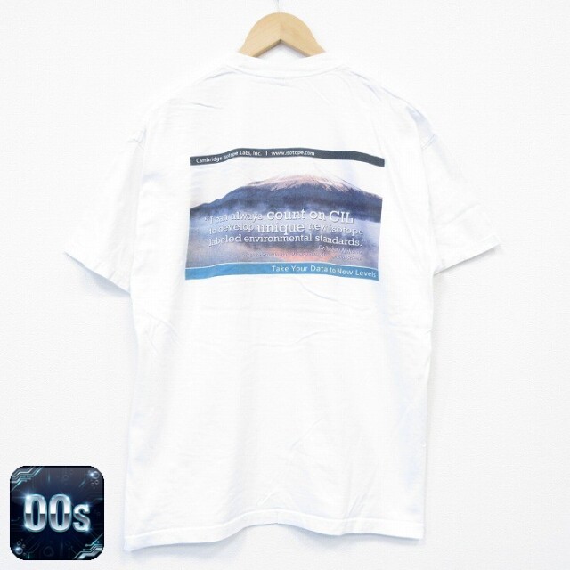 ヘインズ 00s 半袖Tシャツ 富士山 ホワイト L | 古着