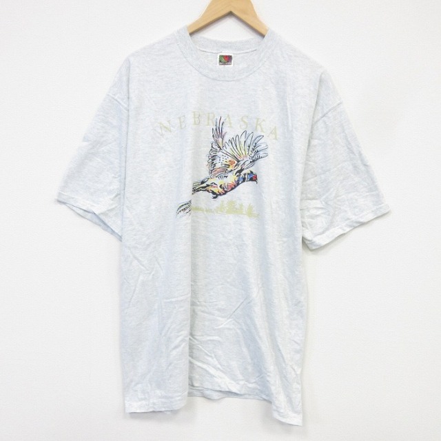 フルーツオブザルーム 90s 半袖Tシャツ 霜降り グレー メンズXL相当 | 古着