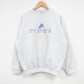 NFL デトロイトライオンズ 00s 長袖スウェット 刺繍 グレー L | 古着