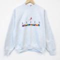 M★古着 フルーツオブザルーム 長袖 スウェット メンズ 90年代 90s ASPEN クルーネック USA製 薄グレー 霜降り 26apr21