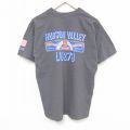 ハドソンバレー 半袖Tシャツ 星条旗 グレー XL | 古着