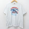 フルーツオブザルーム 00s 半袖Tシャツ 星条旗 グレー XL | 古着