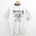 00s 半袖Tシャツ ナイアガラの滝 グレー XL | 古着