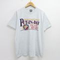 スクリーンスターズ 90s 半袖Tシャツ プットインベイ グレー XL | 古着