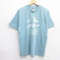 フルーツオブザルーム 90s 半袖Tシャツ Gread lakes ライトブルー L | 古着