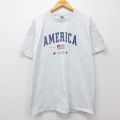 フルーツオブザルーム 00s 半袖Tシャツ 星条旗 グレー XL | 古着