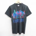 フルーツオブザルーム 90s 半袖Tシャツ コロラド ブラック M | 古着