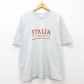 XL★古着 スクリーンスターズ フルーツオブザルーム 半袖 ビンテージ Tシャツ メンズ 90年代 90s イタリア 刺繍 大きいサイズ クルーネック アイルランド製 薄グレー 霜降り 25jul23 中古