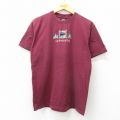 00s 半袖Tシャツ ADIRODACKS シカ刺繍 バーガンディ M | 古着